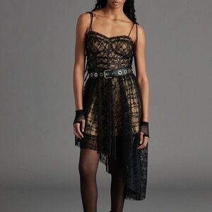 Steve Madden Dali Dress NWT